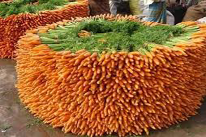 Xuất khẩu Cà rốt